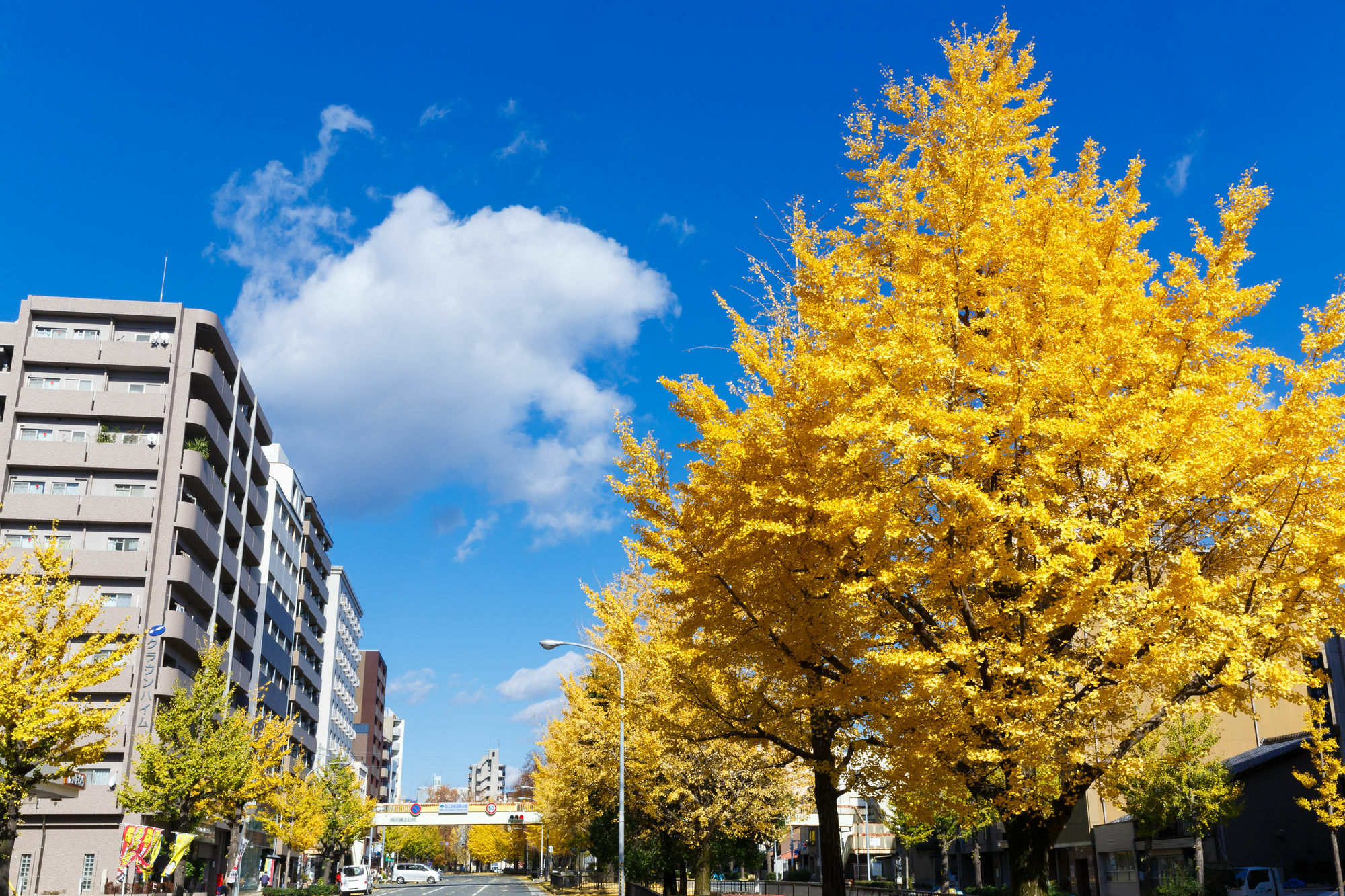 Kyoto City Hotel Zewnętrze zdjęcie